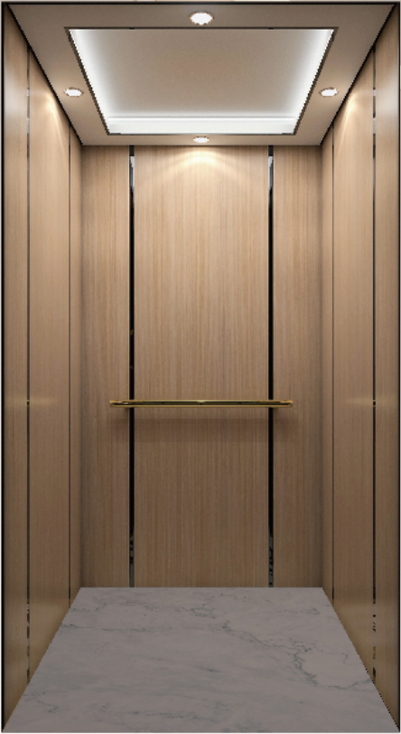 Home Elevators - Professional elevator solution 6 by Homalift Especialist Co.