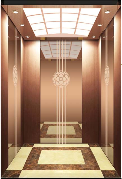 Passenger Elevators - Professional elevator solution 15 by Homalift Especialist Co.